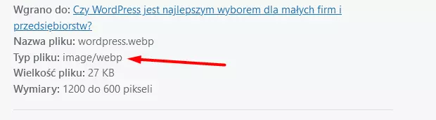 najczęstsze błędy WordPress - optymalizacja obrazów 