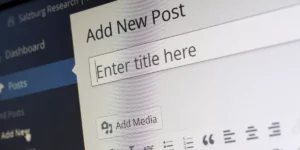 strona na Wordpress koszt