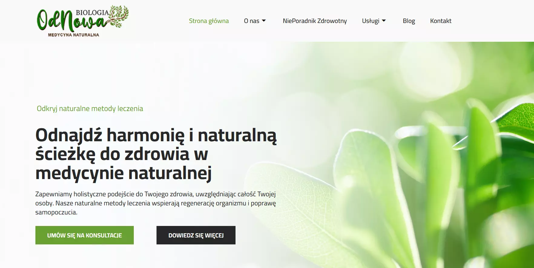 efekt-elementora-1