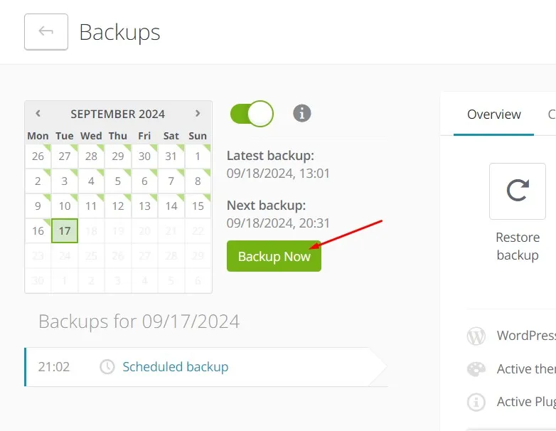 wtyczki -aktualizacja - backup