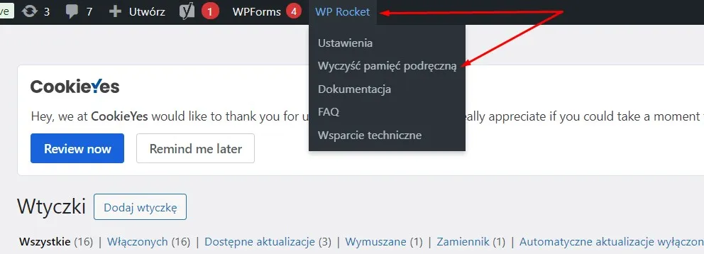 wtyczki - aktualizacja - cache