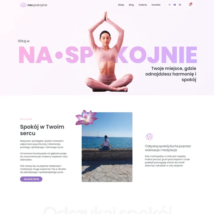 Strona studionaspokojnie.pl przed zmianami